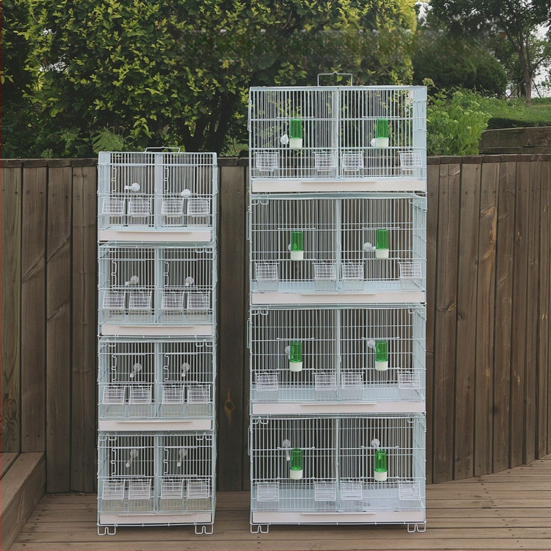 Paukščių narvelis, izoliuotas veislinis paukščių narvelis, sukrautas paukščių narvelis, šilkinis žvirblis, hibiscus, paukščių veisimosi narvelis