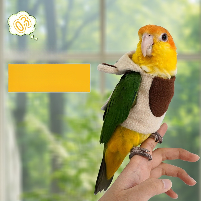 Нови дрехи за домашни любимци Xuan Feng, дрехи за папагали, есенни и зимни, ежедневни топли дрехи за домашни любимци, трансформиращи мечки