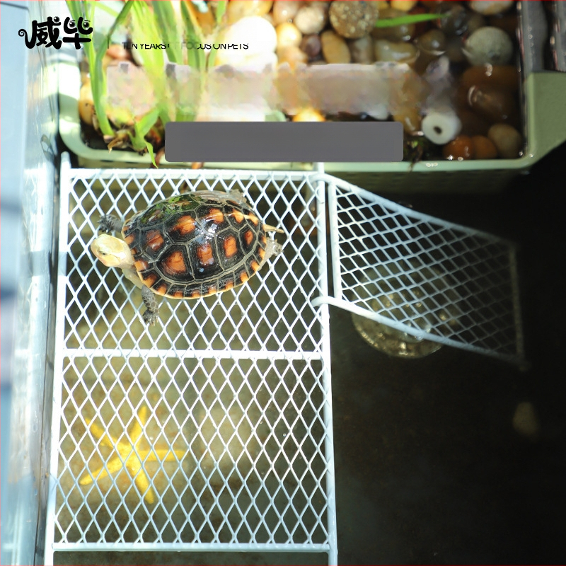 Малка костенурка, маса за сушене на гърба, водна костенурка, тревна костенурка, бразилска костенурка, маса за катерене по стълба, комбинирана костенурка, почивка за аквариум, пейзаж, плаваща маса, консумативи