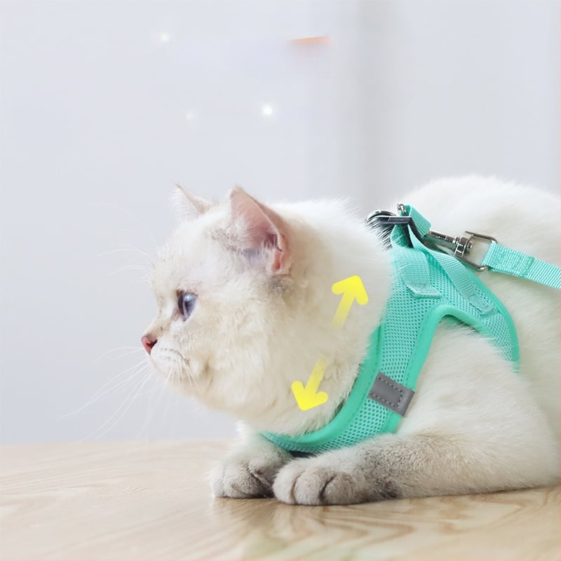 Lemmiklooma rinnarihmaga kassirihmaga vest