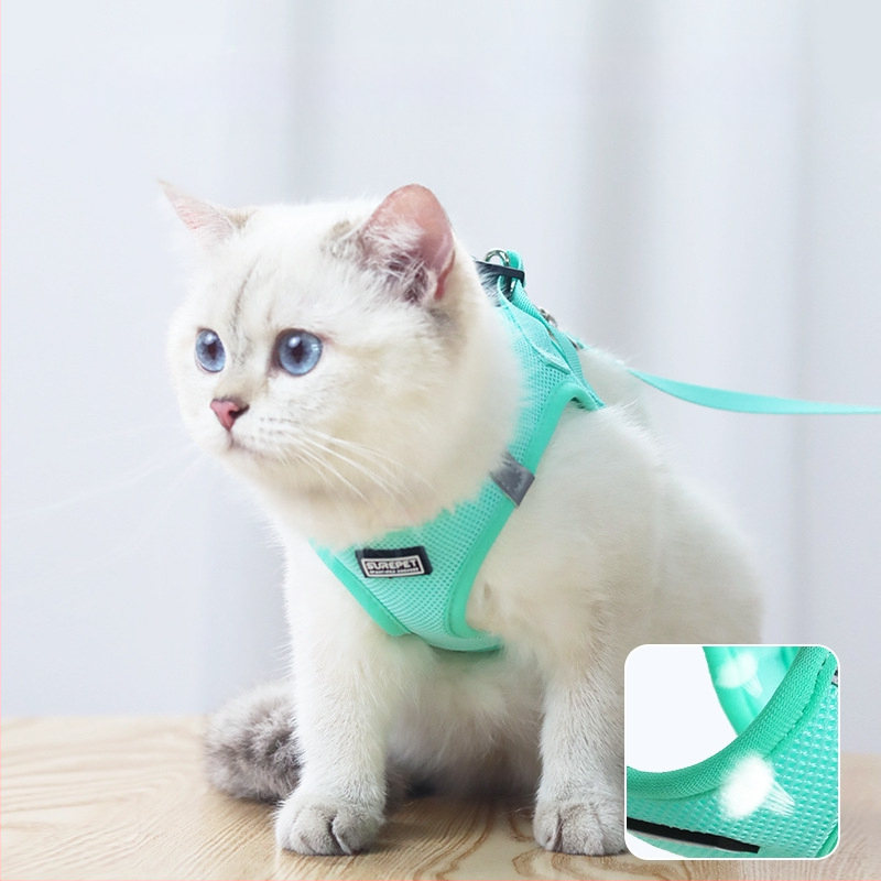 Lemmiklooma rinnarihmaga kassirihmaga vest