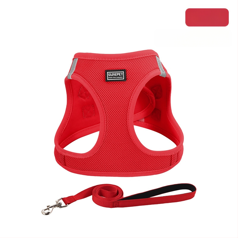 Lemmiklooma rinnarihmaga kassirihmaga vest