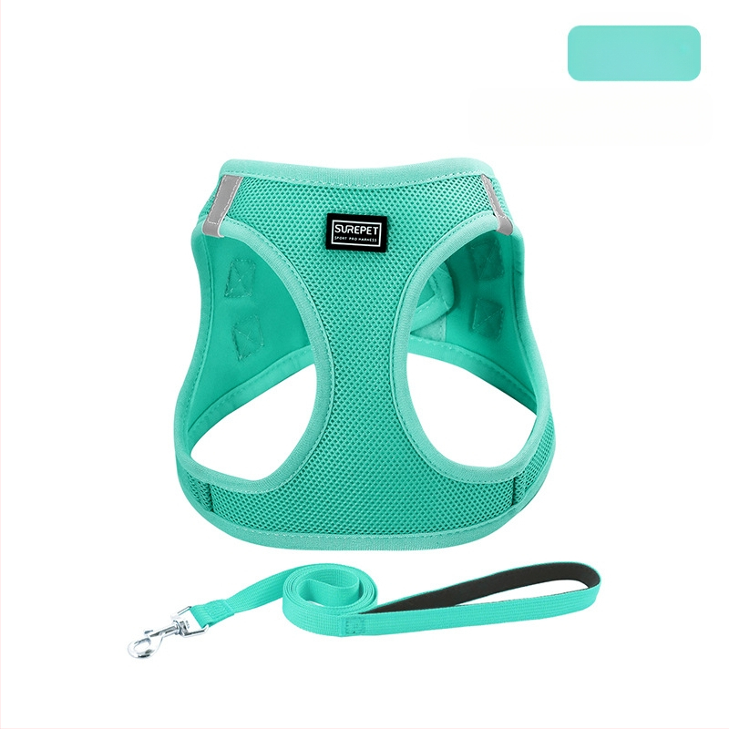 Lemmiklooma rinnarihmaga kassirihmaga vest