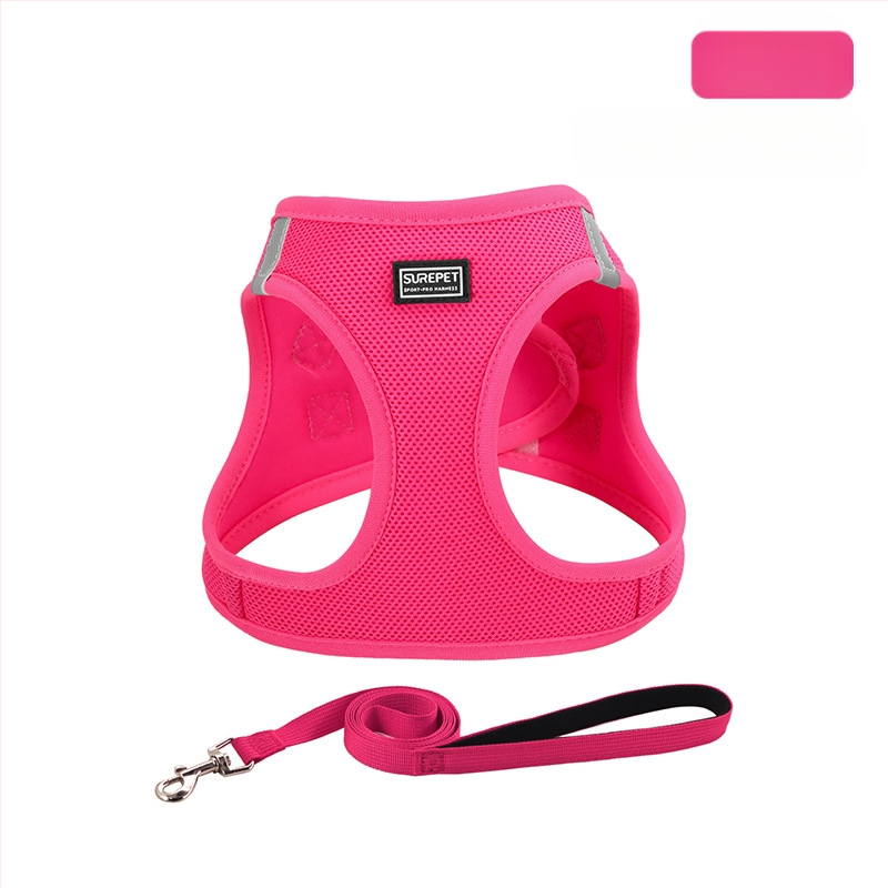 Lemmiklooma rinnarihmaga kassirihmaga vest