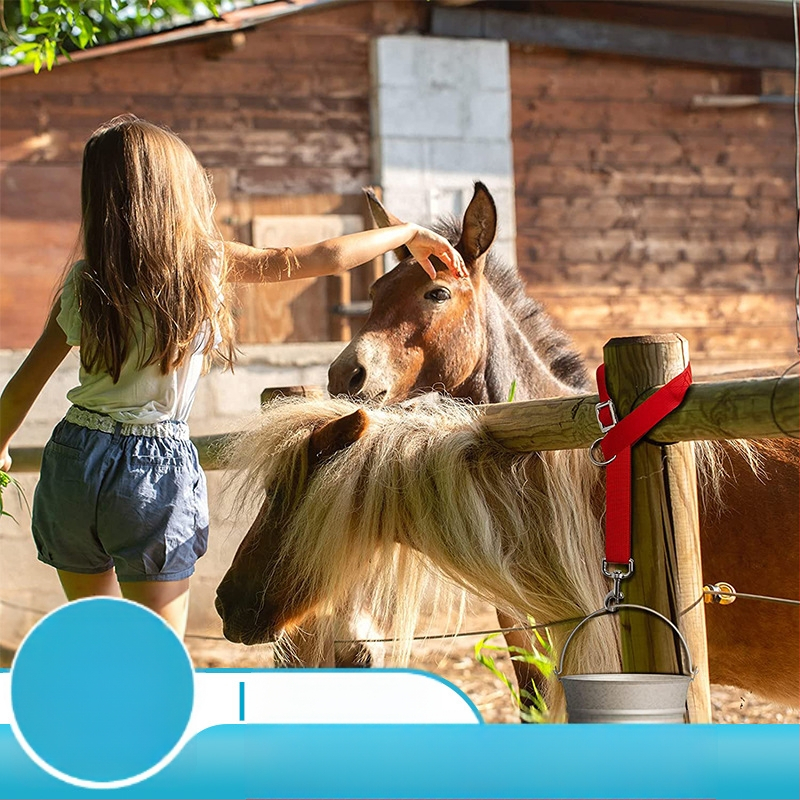 Tarpvalstybinis populiarus reguliuojamas nailono diržas, tvirtas arklio kaušo diržas, arklio priekabos diržas, žemės ūkio kaušo pakabos diržas