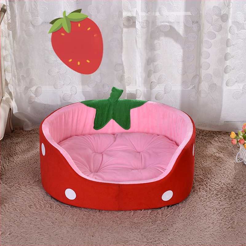 Търговия на едро на есен и зима, развъдник за малки кучета, развъдник за котки, развъдник за кученца, развъдник за плодове, развъдник за ягоди, развъдник за плюшено куче, кученце котка