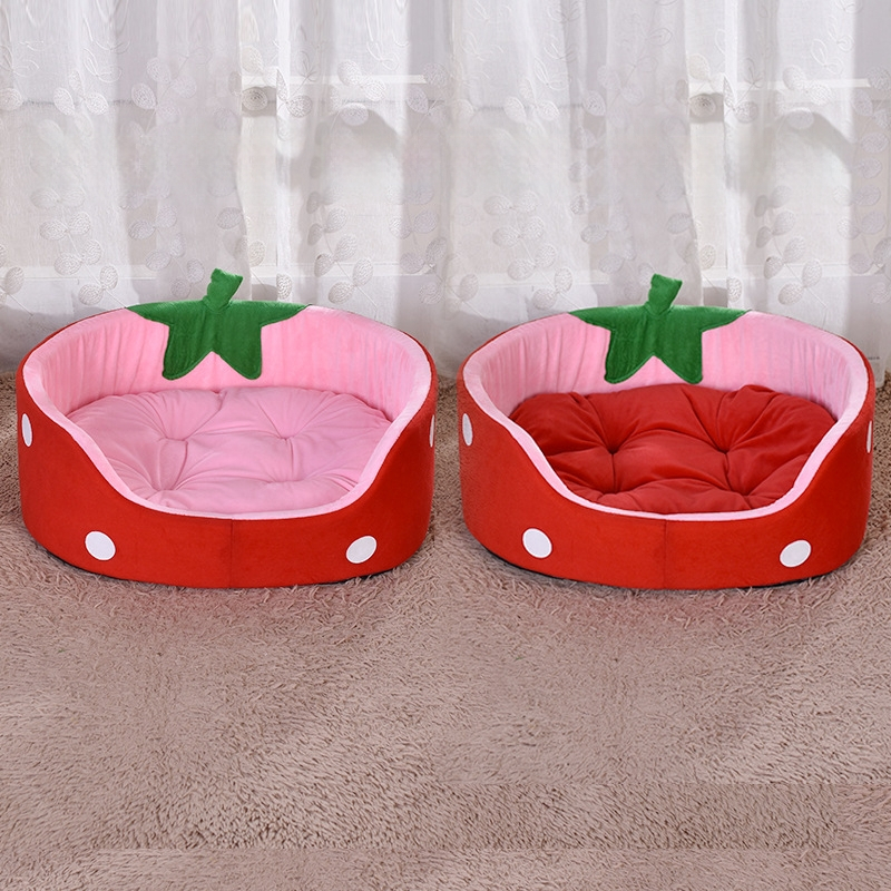 Търговия на едро на есен и зима, развъдник за малки кучета, развъдник за котки, развъдник за кученца, развъдник за плодове, развъдник за ягоди, развъдник за плюшено куче, кученце котка