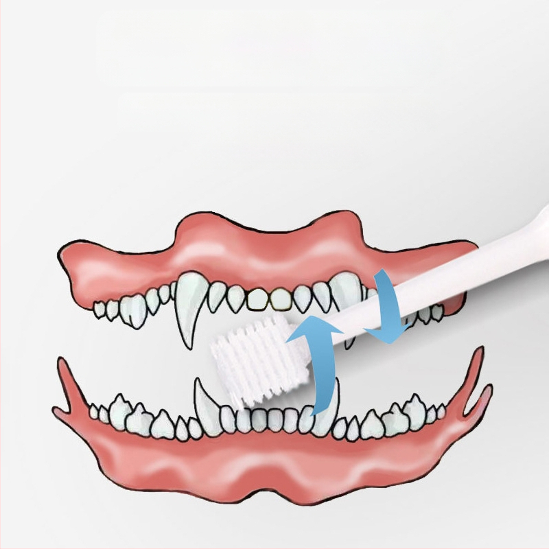Οδοντόβουρτσα για κατοικίδια, οδοντόβουρτσα για γάτες 360 μοιρών, οδοντόβουρτσα καθαρισμού στόματος για γάτες, φροντίδα σκύλου, οδοντόβουρτσα για σκύλους, είδη κατοικίδιων ζώων