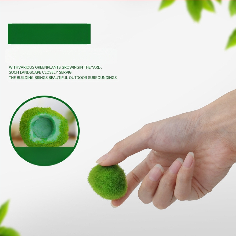 Kunstlik kalatank merevetikapall veetaimed mikromaastik ökoloogiline pudel rohevetikapall kalatank maastik siseruumides töölaua kaunistused kaunistused