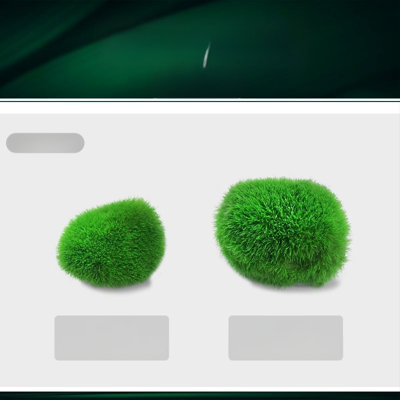 Kunstlik kalatank merevetikapall veetaimed mikromaastik ökoloogiline pudel rohevetikapall kalatank maastik siseruumides töölaua kaunistused kaunistused