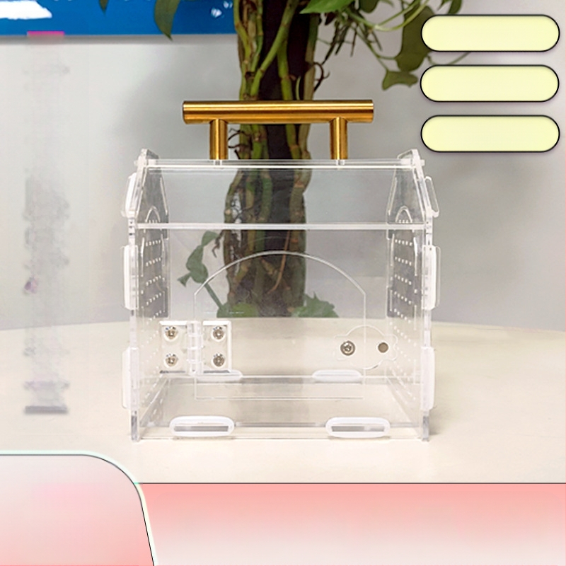 Prekogranična akrilna prozirna magnetska sastavljena kutija za kućne ljubimce, kutija za uzgoj gekona i gmazova, ekološka kutija za uzgoj