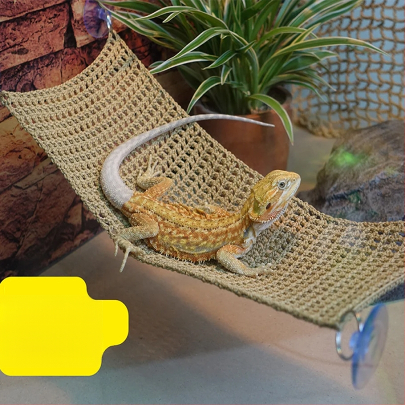 Siurbimo puodelio pintas hamakas, žiurkėno žaislas, karčiai, liūtas, driežas, augintinis, miegas, laipiojimas, augintinių maitinimas, termostatas, sūpynės, laipiojimo tinklelis