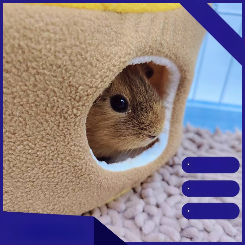 Mielas žiurkėnas, mažas triušis, jūrų kiaulytė, papūgos medvilninis lizdas, šiltas medvilninis lizdas, ananasų duonos lizdas, nuimamas ir plaunamas