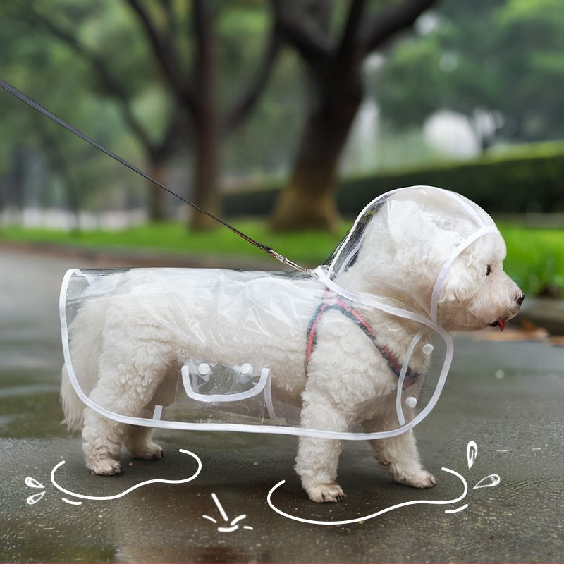 Kabanica za kućne ljubimce za pse, dan za vuču, mali pas, Bixiong Teddy Out, četiri noge, protiv mokrih vanjskih proizvoda, veleprodaja