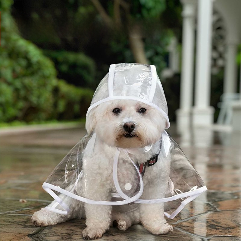 Kabanica za kućne ljubimce za pse, dan za vuču, mali pas, Bixiong Teddy Out, četiri noge, protiv mokrih vanjskih proizvoda, veleprodaja