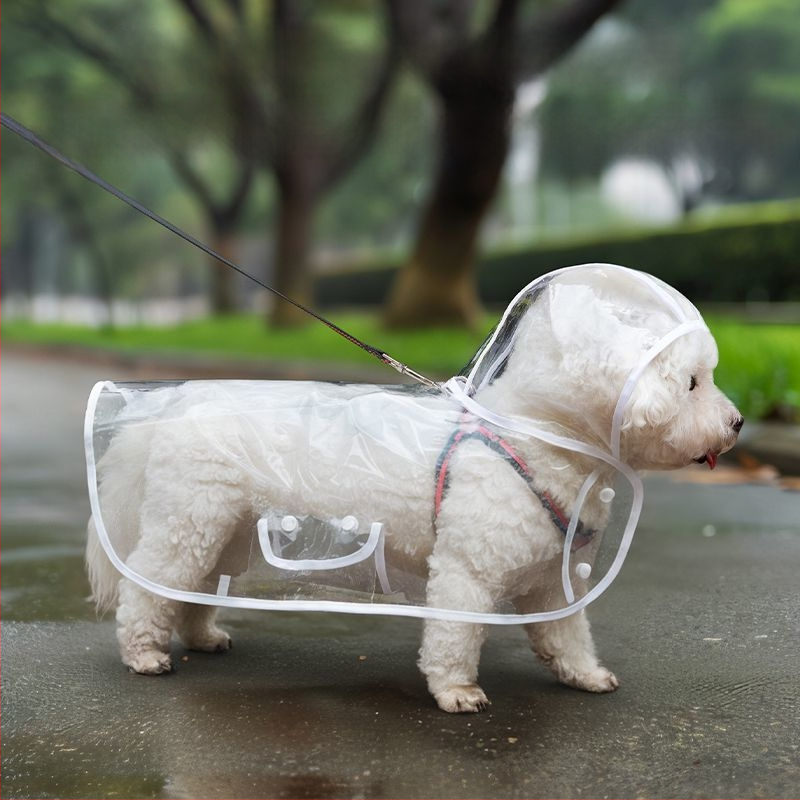 Kabanica za kućne ljubimce za pse, dan za vuču, mali pas, Bixiong Teddy Out, četiri noge, protiv mokrih vanjskih proizvoda, veleprodaja