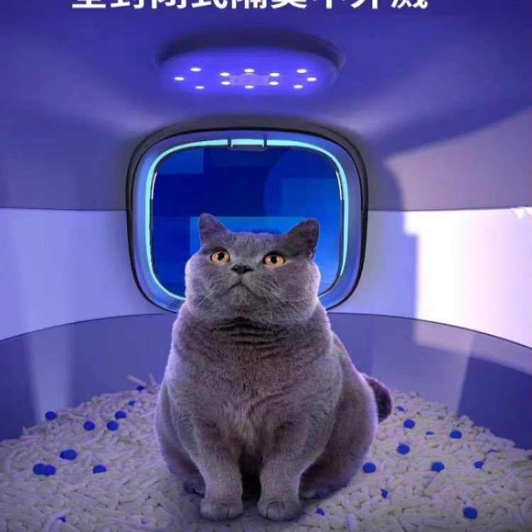 Predimenzionirana kutija za mačji pijesak, potpuno zatvorena, dezodorirajuća, mačja WC sklopiva, preša, ultraljubičasta sterilizacija, mačji pisoar, veleprodaja