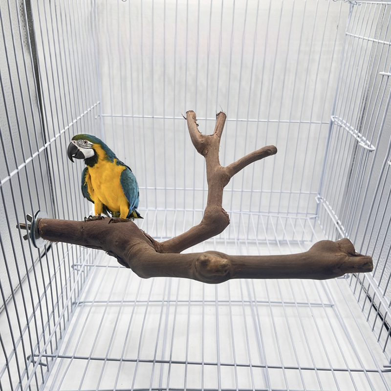 Естествена дървена стойка за птици с двоен клон от грозде, кацалка за папагали, шлифоваща нокът, стълб за станция за птици с разклонение, дървена играчка-пръчка от грозде