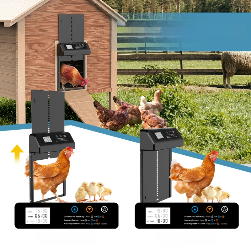 Ușă electrică pentru casă de pui, vânzare transfrontalieră, fierbinte, de uz casnic, din aliaj de aluminiu, cu temporizare inteligentă, cu ridicare automată a ușii de pui