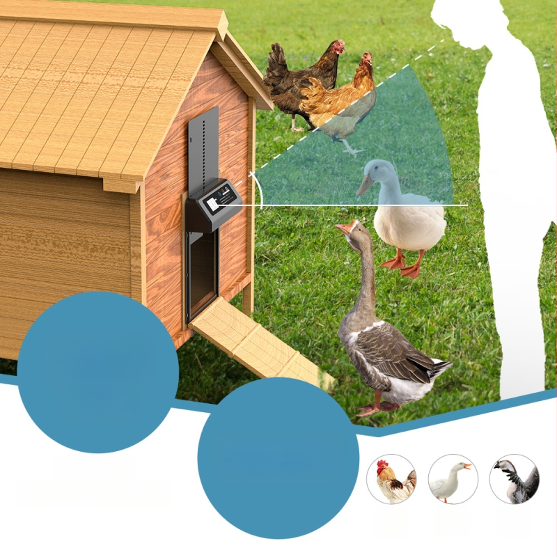 Ușă electrică pentru casă de pui, vânzare transfrontalieră, fierbinte, de uz casnic, din aliaj de aluminiu, cu temporizare inteligentă, cu ridicare automată a ușii de pui