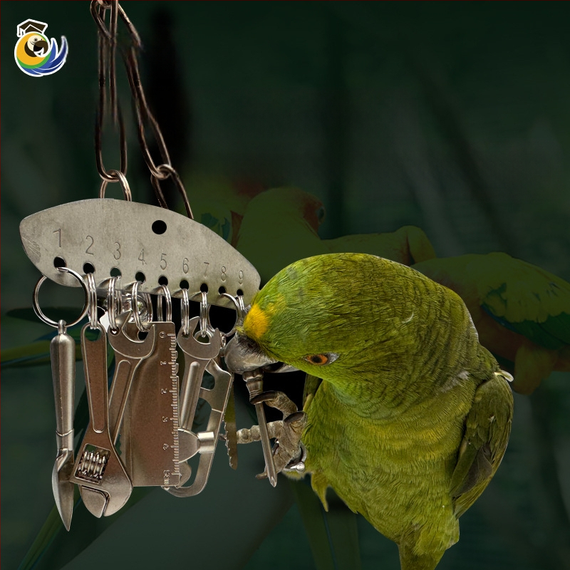 Metalna igračka za žvakanje za papige srednje i velike veličine, King Kong siva papiga, Amazon, edukativni privjesak s okvirom za ptičji kavez za ublažavanje stresa i dosade