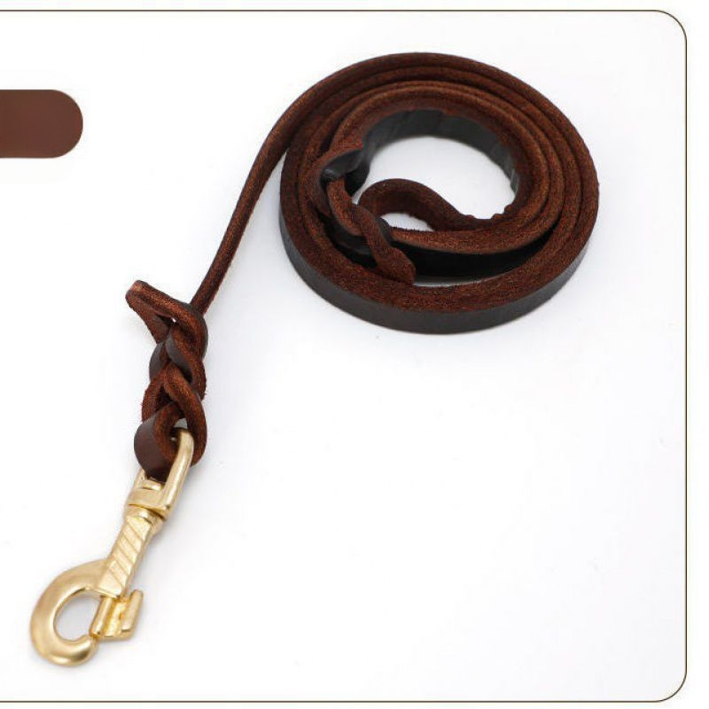 Pas za hodanje, univerzalni pas za konje, njemački ovčar, zlatni retriver, noseći sloj od mekane kravlje kože, vučno uže za pse, čelična kuka, bakrena kuka