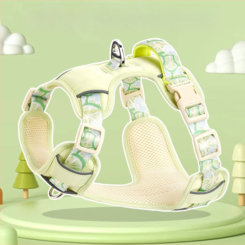 Povodac za pse Ljetni Vall remen za kućne ljubimce Prozračni povodac za pse velikih, srednjih i malih pasa Corgi medvjedića Lančić