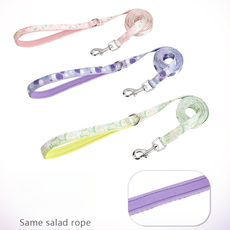 Povodac za pse Ljetni Vall remen za kućne ljubimce Prozračni povodac za pse velikih, srednjih i malih pasa Corgi medvjedića Lančić