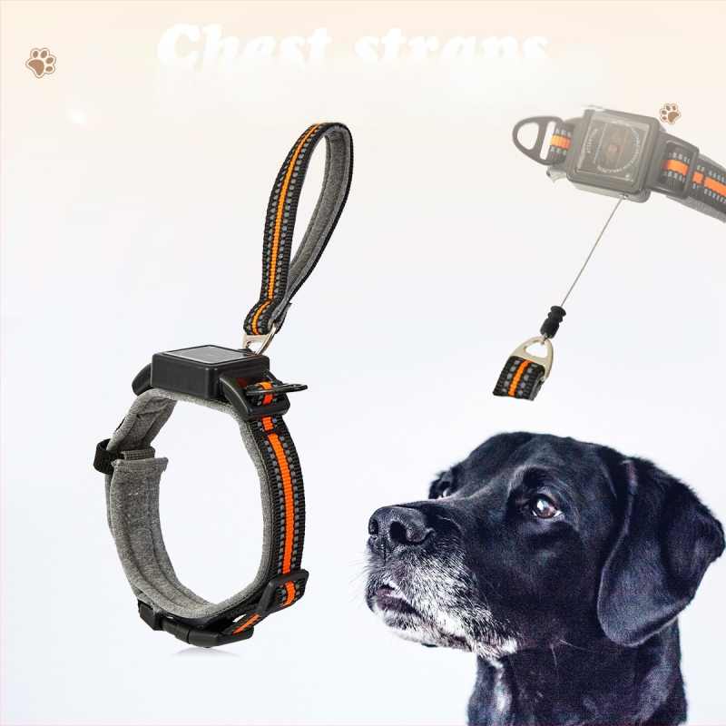 Integrirana ogrlica za pse s ugrađenom uvlačivom uzicom, vanjska ogrlica za kućne ljubimce s automatskim uvlačivim uzicom