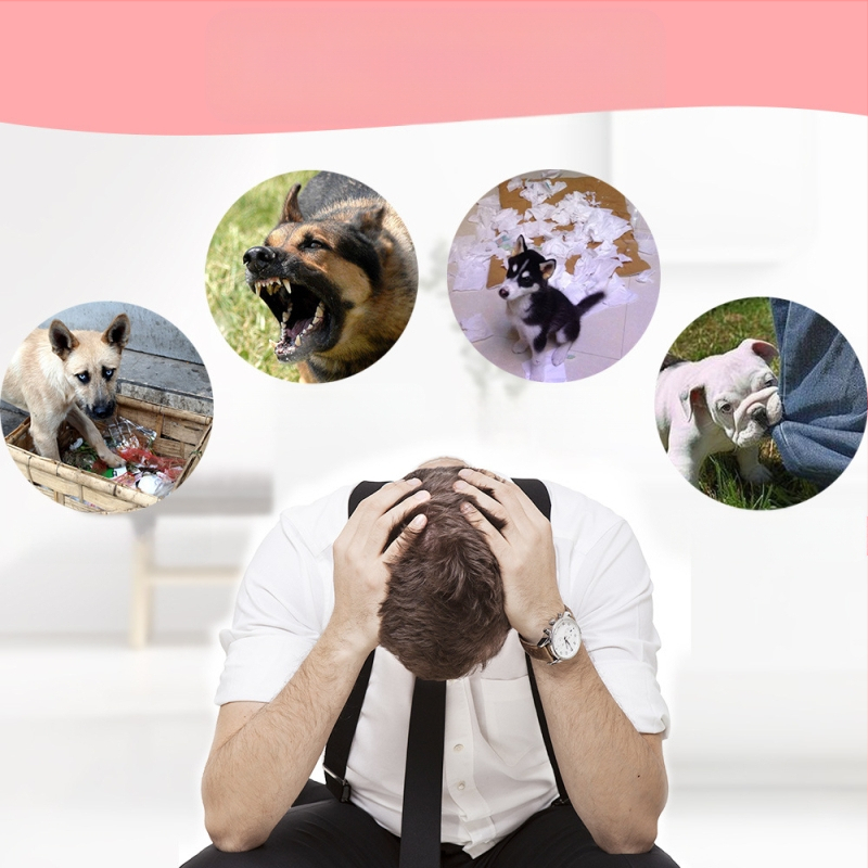 Намудрец за кучета, маска против ухапване, устройство против лай, яде безразборно средни и големи кучета, пластмасов намордник за кучета, стопер за лай