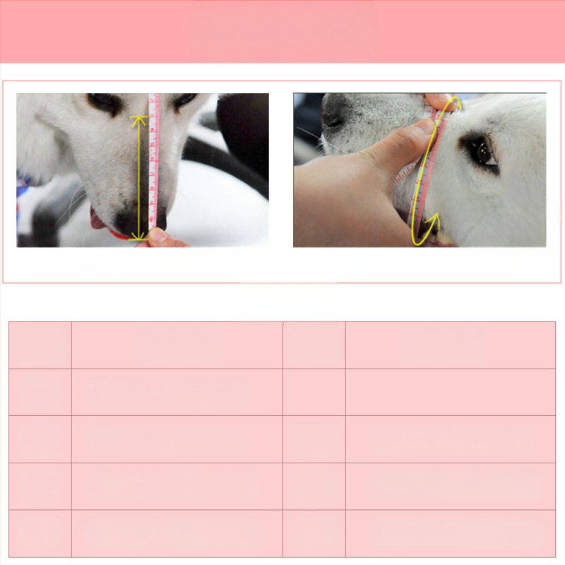 Намудрец за кучета, маска против ухапване, устройство против лай, яде безразборно средни и големи кучета, пластмасов намордник за кучета, стопер за лай