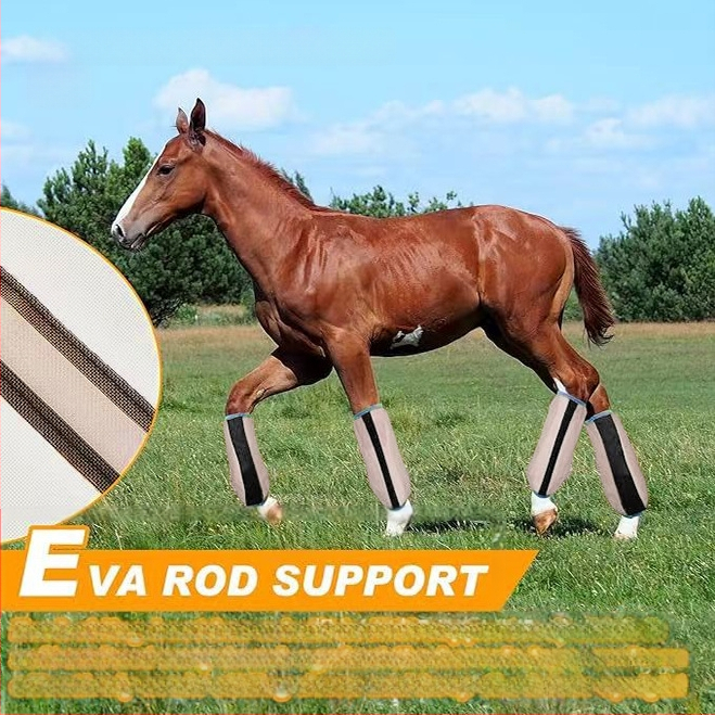 Nailoninės arklio kojos Arklio kojos Jojimo reikmenys Vasaros arklio kojos Apsauga nuo uodų Arklio kanopos Arklio kojos