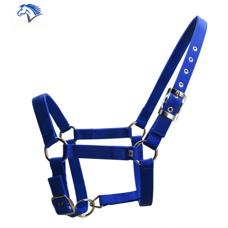 25 mm pločio pastorinta PP austinė juosta arklio formos žibinto galvos sidabrinė diržo sagtis su metaline akimi Lt2001