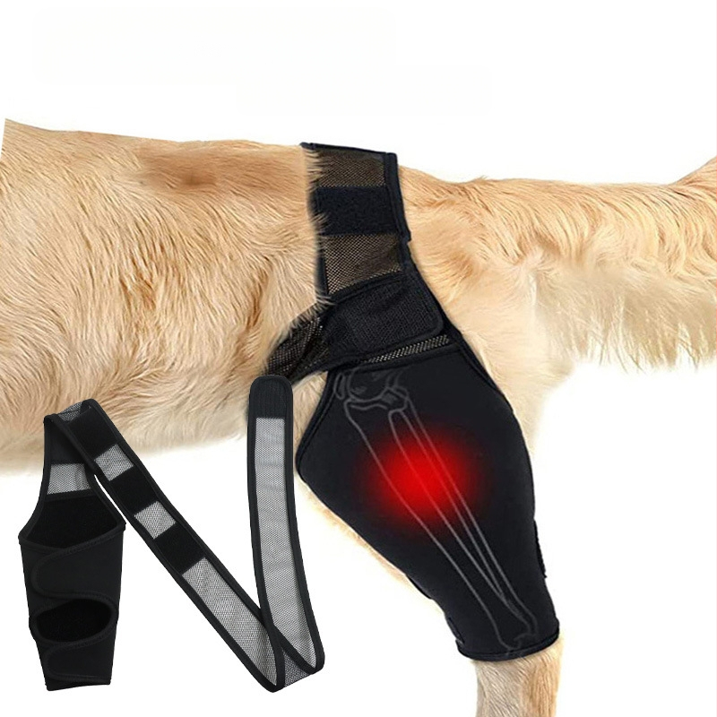 Határokon átnyúló új kutyacombvédő huzat műtét felépülés védő ízületvédő leggings kutyaláb kisállat védőhuzat