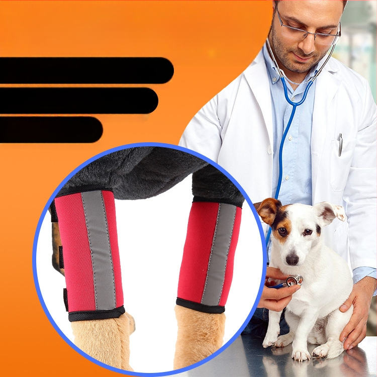 Protecții pentru picioare de câine, protectori pentru genunchi, protectori dubli pentru picioarele din față, provizii pentru animale de companie, îngrijire postoperatorie pentru reabilitarea câinilor, mâneci rănite, CDA transfrontaliere
