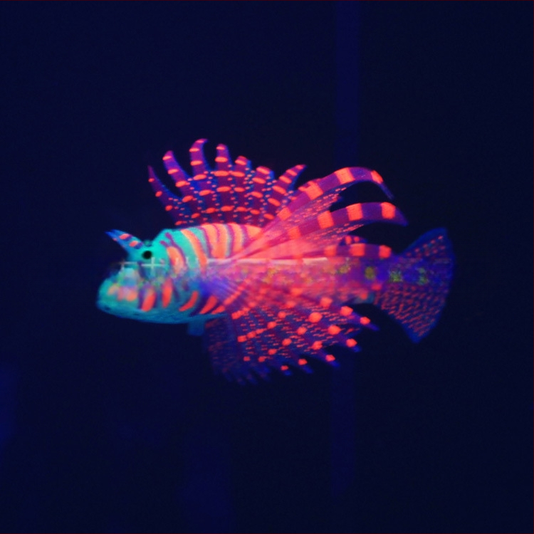 Akvaariumi haljastuskaunistused akvaariumi tootjad ekspordivad silikoonmaterjalist helendavat simulatsioonivärvi lõvikala hulgimüüki