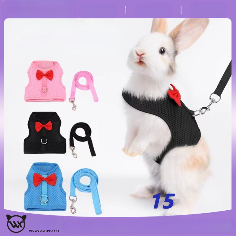 Каишка за зайци Amazon, каишка за морски свинчета, каишка за малки домашни любимци, жилетка тип каишка за кучета