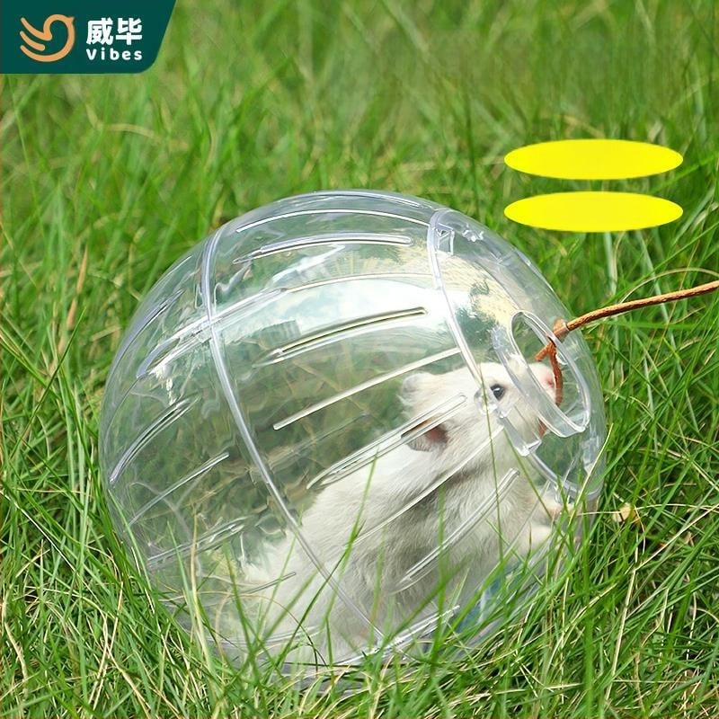 Hörcsög Kristály futólabda futókerék görgő Arany Medve mókus mézzsák átlátszó külső szalag Sportlabda séta egér tárgy