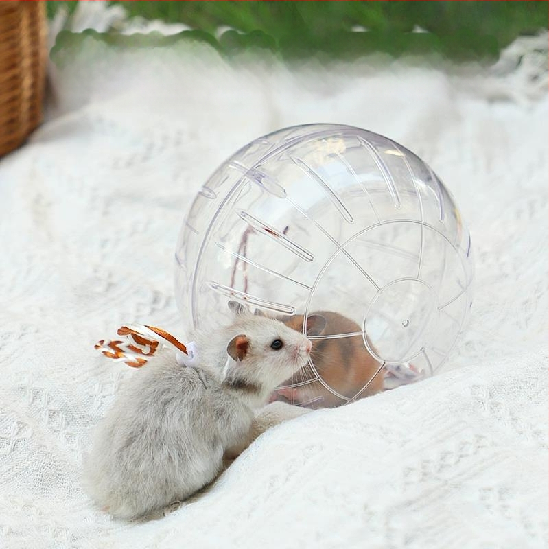 Hörcsög Kristály futólabda futókerék görgő Arany Medve mókus mézzsák átlátszó külső szalag Sportlabda séta egér tárgy