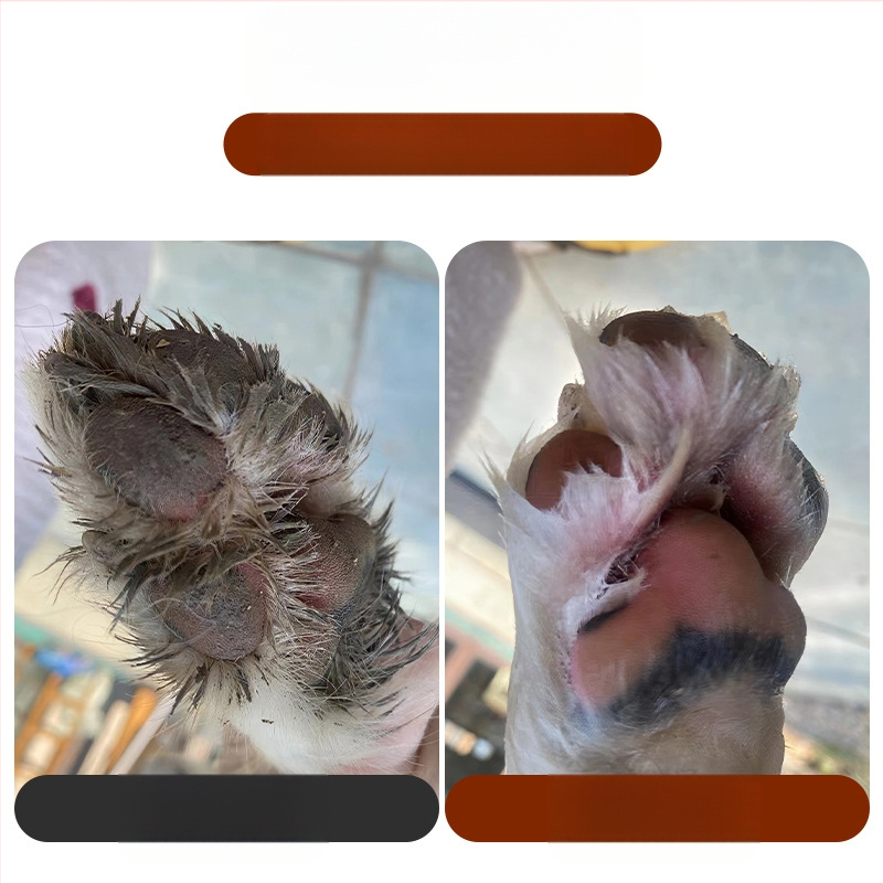 Piiriülene lemmikloomade jalgade pesutops, koera jalgade pesemise artefakt, koera ja kassi käpad, pühkimist mittevajav puhastusvahend