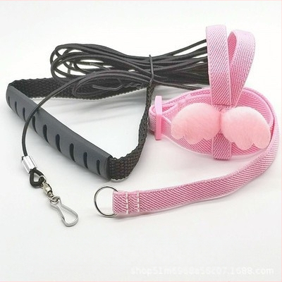 Papagoi lendava köie rihm, linnu kõndimisköis, tiigri nahaga Xuanfeng väike päikesejalgadega ülikerge veojõuköis