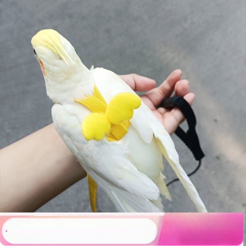 Papagoi lendava köie rihm, linnu kõndimisköis, tiigri nahaga Xuanfeng väike päikesejalgadega ülikerge veojõuköis