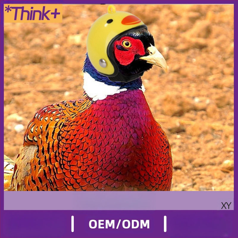 Каска за домашен любимец пиле Пощенски гълъб Каска за домашен любимец пиле гълъб Папагал Забавна защитна качулка Птица Предпазна каска