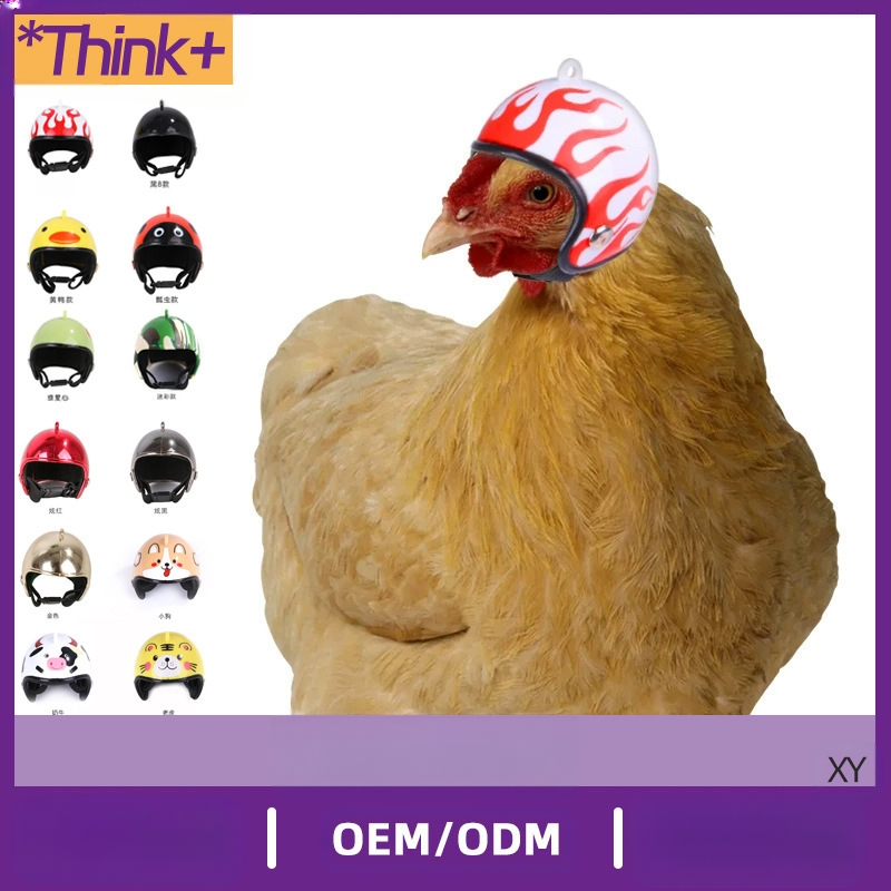 Каска за домашен любимец пиле Пощенски гълъб Каска за домашен любимец пиле гълъб Папагал Забавна защитна качулка Птица Предпазна каска