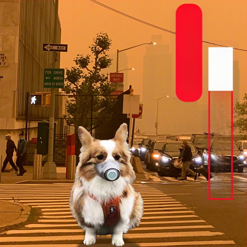 Naminių gyvūnėlių kaukė nuo miglos, taršos, dulkių nepraleidžianti, apsauganti nuo lojimo, šuns snukis, didelė ir maža šunų kaukė, sveika kelionėms, kasdieniai poreikiai