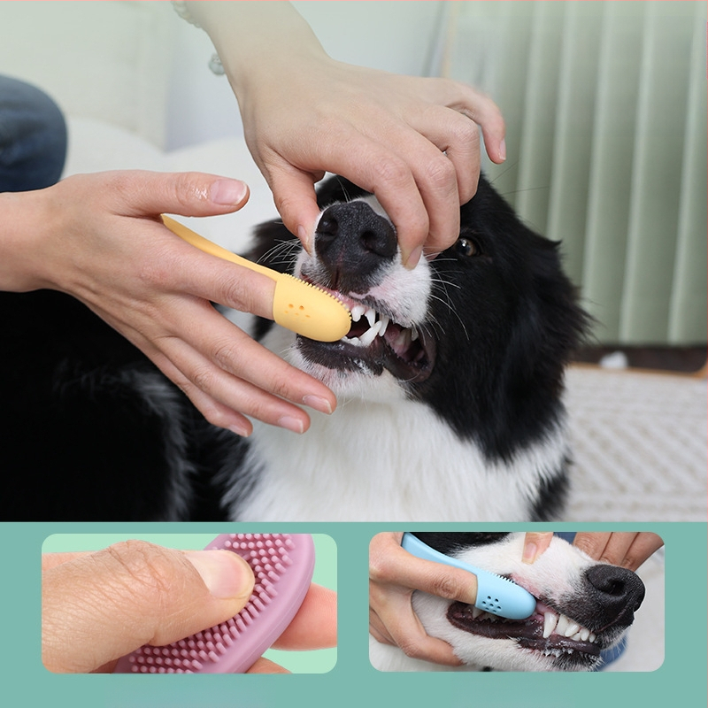 Προμήθειες κατοικίδιων ζώων Κάλυμμα δακτύλου κατοικίδιου Οδοντόβουρτσα Οδοντόβουρτσα σκύλου Εργαλείο καθαρισμού στόματος σκύλου Οδοντόβουρτσα κατοικίδιων ζώων