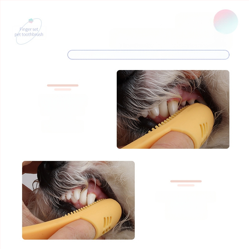 Οδοντόβουρτσα για κατοικίδια, Κούνια για δάχτυλα σκύλου, Οδοντόβουρτσα για κουτάβια, Οδοντόβουρτσα για γάτες, Είδη για σκύλους και γάτες, Αντιβακτηριδιακό