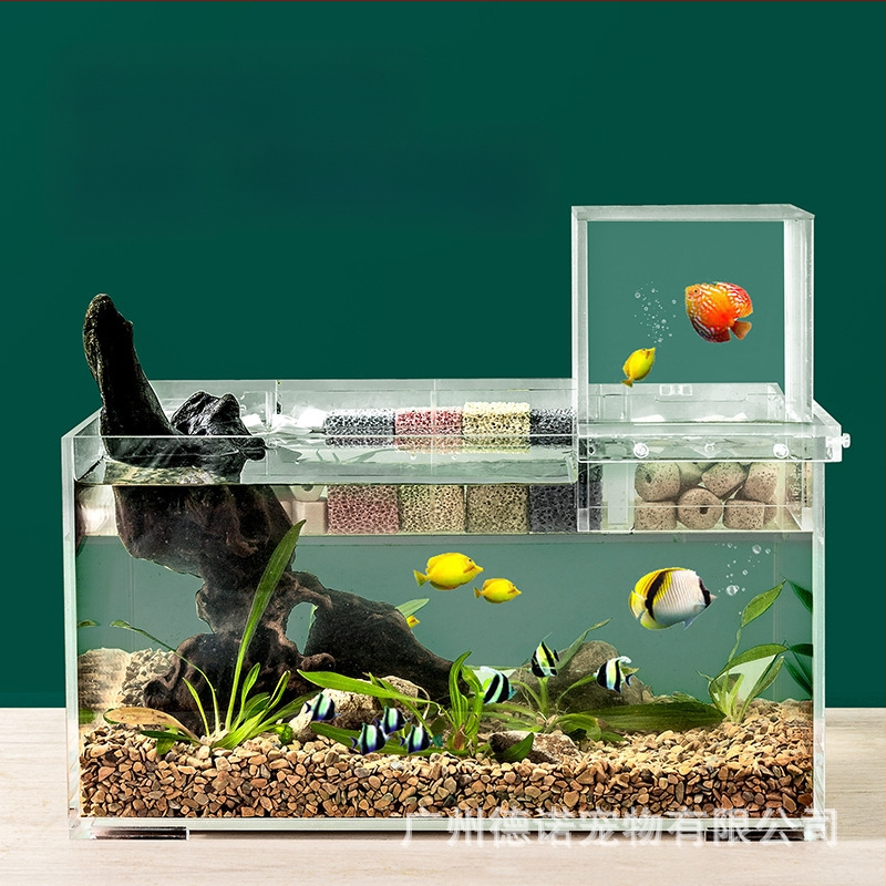 Lemmikloomade negatiivse rõhuga kalapaak akrüülist väike vaakumsuspensioon ökoloogiline loominguline haljastus kaunistus väike kalapaak