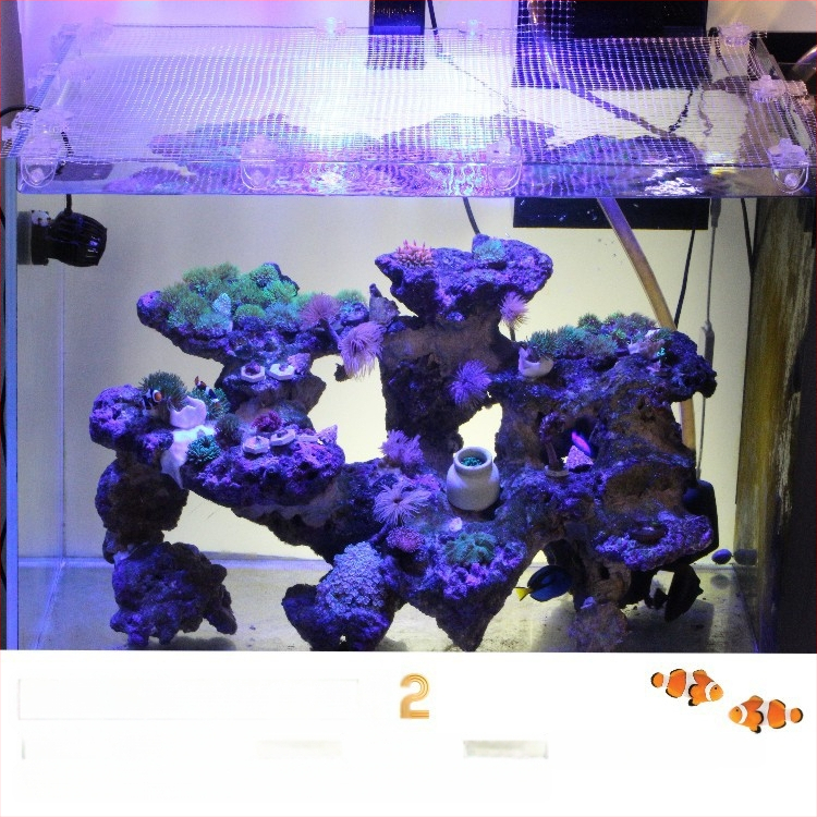 Pastoraalne jalutuskäik kerge merekalade akvaariumi kate nähtamatu hüppevastane võrk võrgukate, mida saab lõigata reguleeritav põgenemisvõrk kassivastane võrk