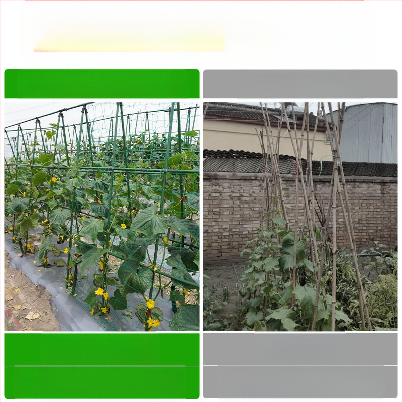 [Su Su Su] Ράφι αναρρίχησης για αγγούρια Ράφι για φασόλια Ράφι ντομάτας Ράφι λαχανικών Ράφι στήριξης φυτών